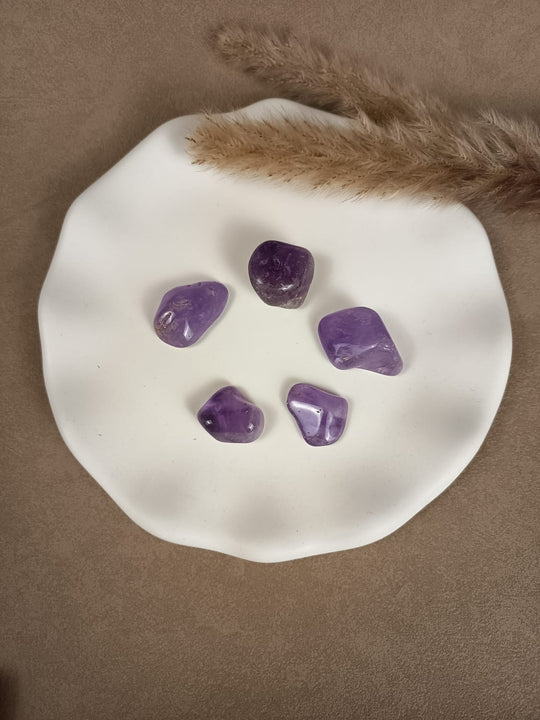„Amethyst Trommelsteine in kräftigem Violett auf weißer Schale – Naturstein von LUMARA“
